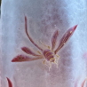 Legras Mont Joye Glass Vase decorated with an iris and a dragonfly