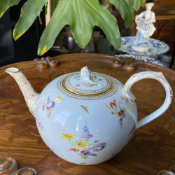 Meissen Porcelain Tea Service Decorated with Floral Spray and Insects