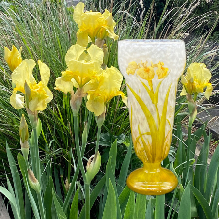 Daum Nancy Cameo and Enamelled Glass Iris Vase
