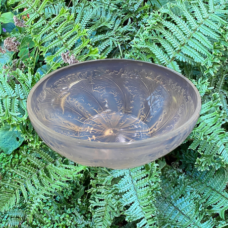 Art Deco Rene Lalique Opalescent and Clear Glass Chicoree Bowl