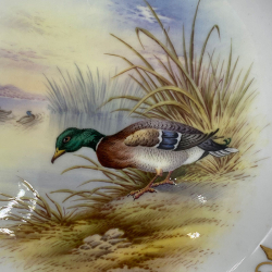Coalport Porcelain Cabinet Plate Hand Painted with Mallard Duck by P Simpson
