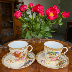 Royal Worcester Porcelain Tea Service, Hand painted with Birds and Flowers