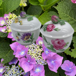 A Pair  Meissen Porcelain Bowls and Covers...