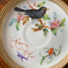 Royal Worcester Porcelain Part Tea Service, Hand Painted with Birds and Jewelled Enamel Rim