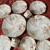 Limoges Rosen Pottery Part Tea Service, Hand Painted wit Flower  Bouquets