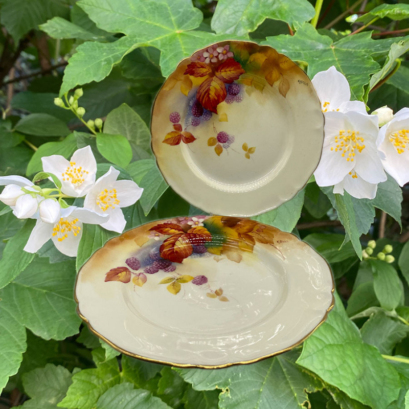 Royal Worcester Porcelain a Pair Plates Hand Painted with Berries, Flowers and leaves