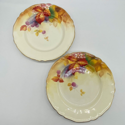 Royal Worcester Porcelain a Pair Plates Hand Painted by Kitty Blake