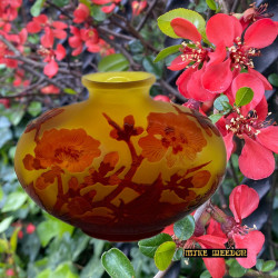 Emile Galle Glass Vase, Acid Etched Overlaid with Cherry Blossom