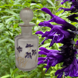 Legras Cameo and Enamelled Glass Scent Bottle...