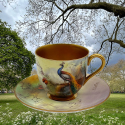 Royal Worcester Porcelain Demitasse Cup & Saucer Hand Painted with Peacock by Austin