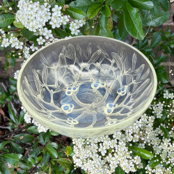 Rene Lalique Clear & Opalescent Glass Bowl "Gui"