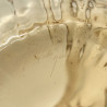 Emile Galle Enamelled Glass Vase Decorated  with Thistles