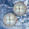 A Pair Rene Lalique Clear and Opalescent Glass Coquilles Plates No 4