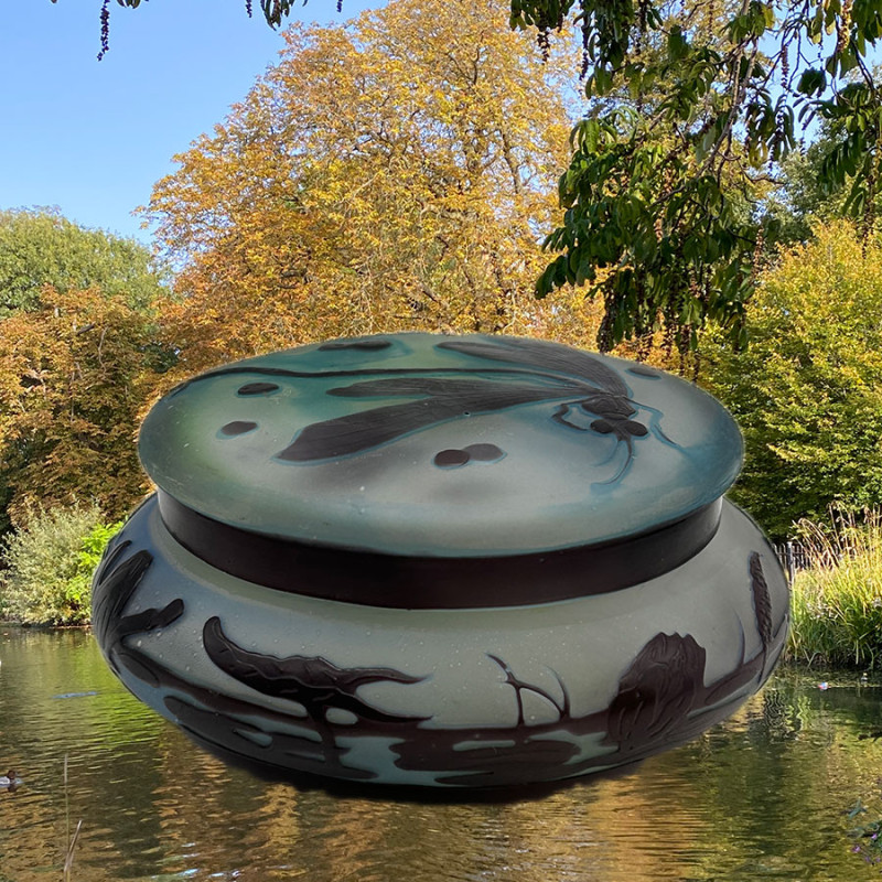 Emile Galle Cameo Glass Box and Cover, Designed Pond Scene and Dragonfly