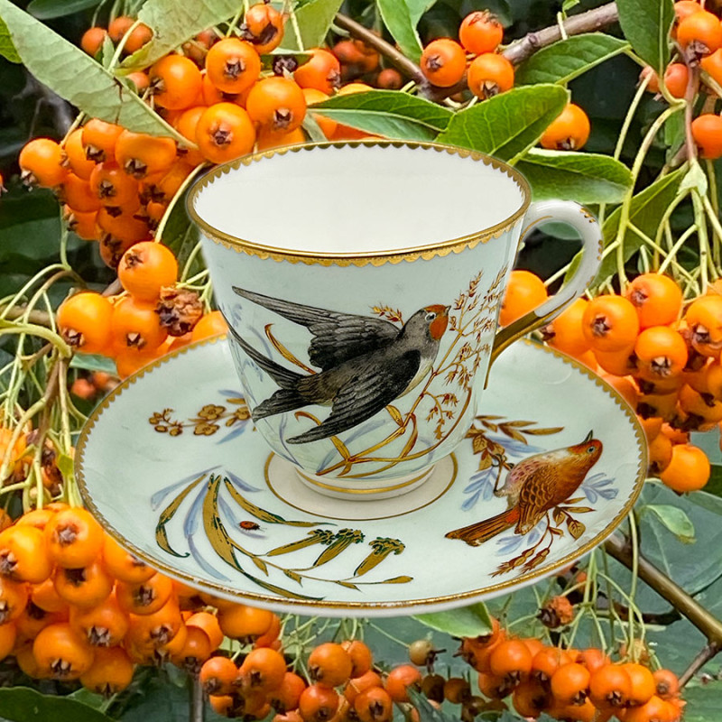 Royal Worcester Porcelain Cup and Saucer, Hand Painted with Birds, insects and Plants