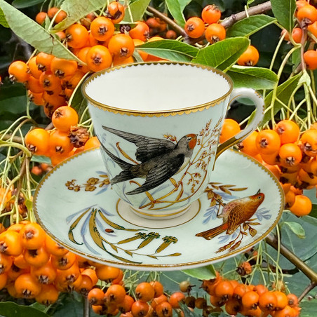 Royal Worcester Porcelain Cup and Saucer, Hand Painted with Birds, insects and Plants