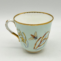 Royal Worcester Porcelain Cup and Saucer, Hand Painted with Birds, insects and Plants