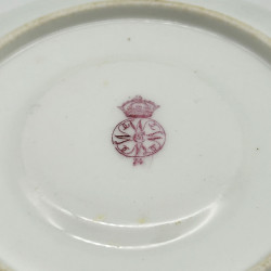 Royal Worcester Porcelain Cup and Saucer, Hand Painted with Birds, insects and Plants