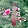 Old Baccarat Eglanthier Pink Cameo Glass Vase with Floral Design