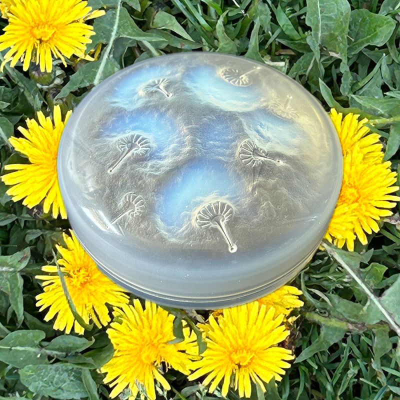 Rene Lalique Clear & Opalescent Glass Houppes Box & Cove