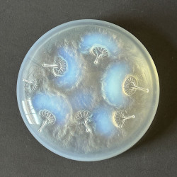 Rene Lalique Clear & Opalescent Glass Houppes Box & Cove