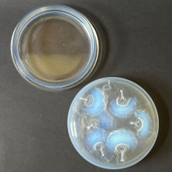 Rene Lalique Clear & Opalescent Glass Houppes Box & Cove