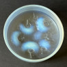 Rene Lalique Clear & Opalescent Glass Houppes Box & Cove
