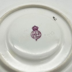 Royal Worcester Porcelain Aesthetic Movement Cup and Saucer