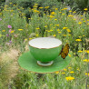 Aynslely China Butterfly Handled Cup and Saucer, Cabbage Green