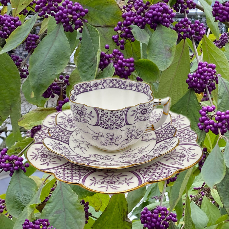 Wileman Foley Shelley Porcelain Trio, White Ground with Purple Floral Pattern