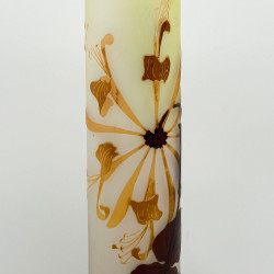 Emile Galle Came Glass Vase, Decorated with Plant Motif