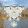 English Tudor Champagne Coupe Set of Six, Beautifully Intaglio Cut Plant Motif