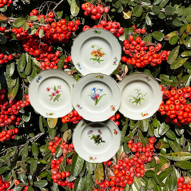 Meissen Porcelain Set of Six Cake Plates, Hand Painted with Flower