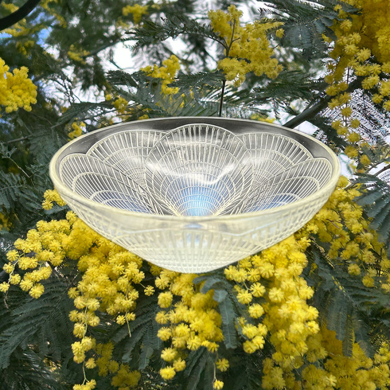 Rene Lalique Clear and Opalescent Glass Coquilles Bowl, No1