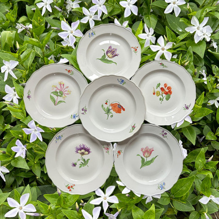Meissen Porcelain Set of Six Dinner Plates Hand Painted Flowers
