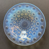 Rene Lalique Clear and Opalescent Glass Coupe Aster
